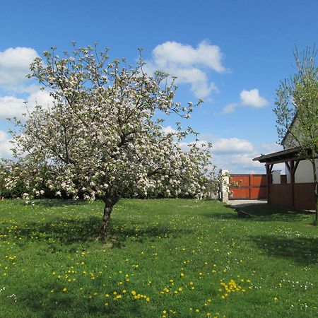 Pension Otevek Trhové Sviny Exterior foto