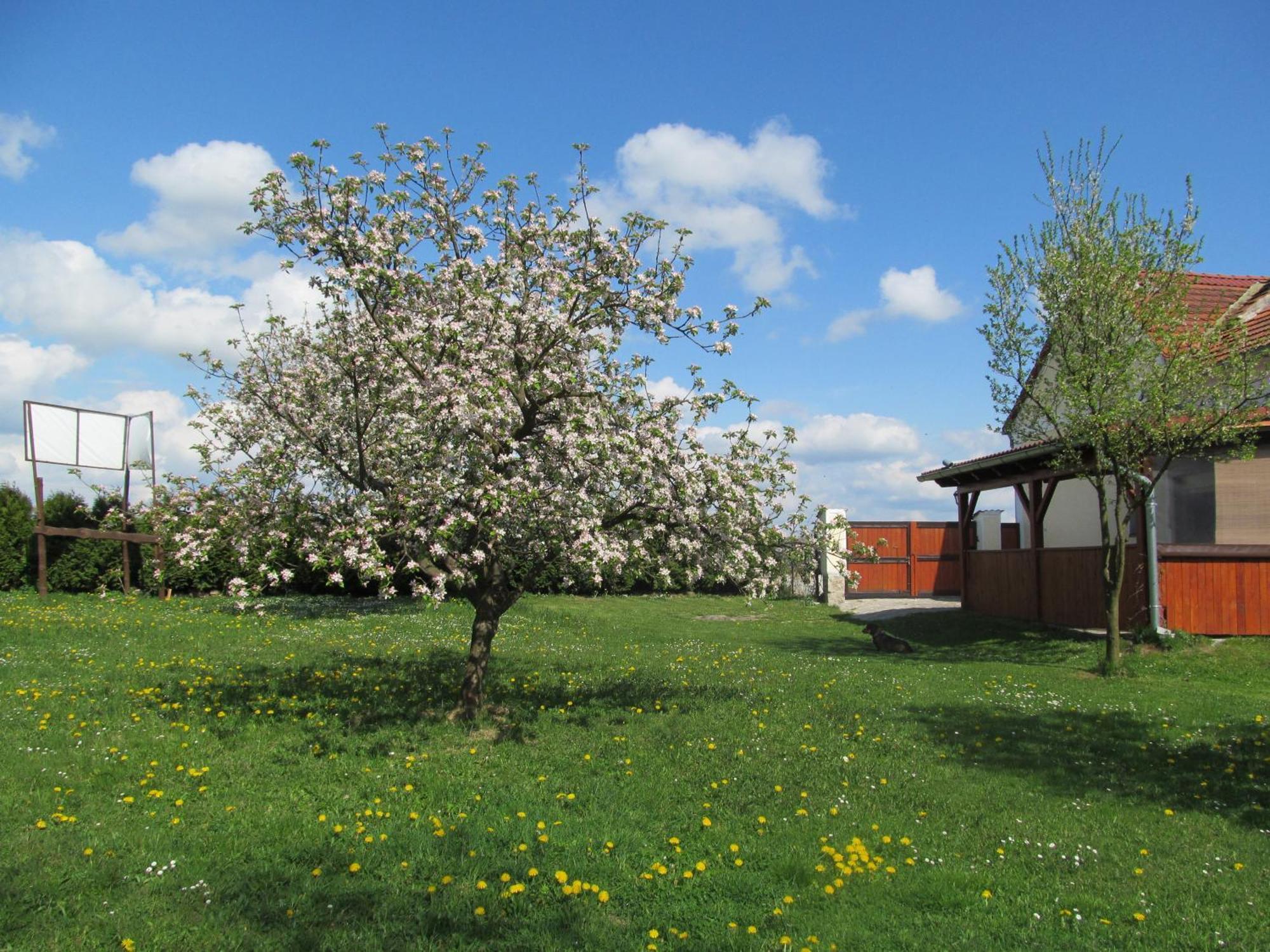 Pension Otevek Trhové Sviny Exterior foto