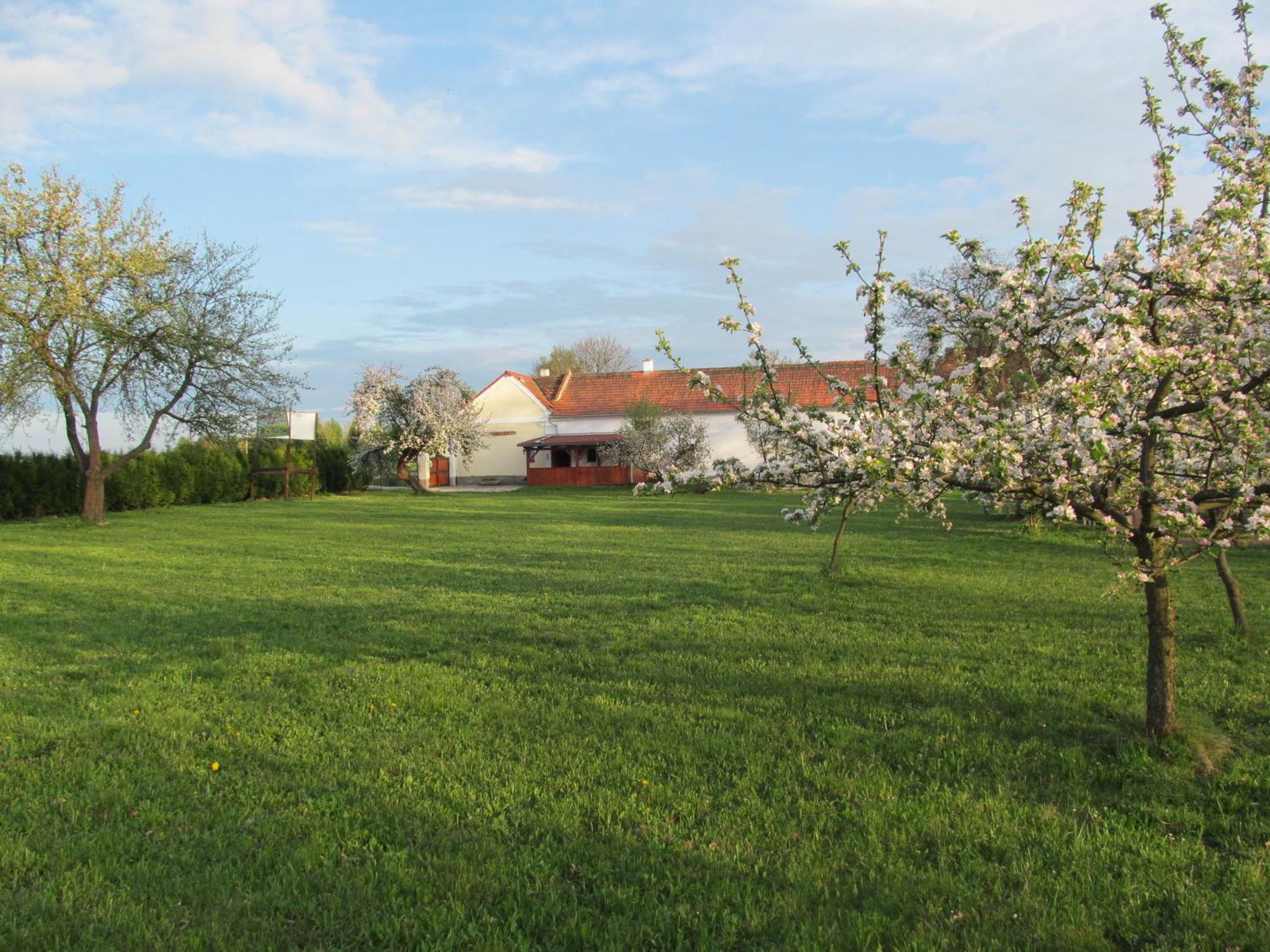 Pension Otevek Trhové Sviny Exterior foto