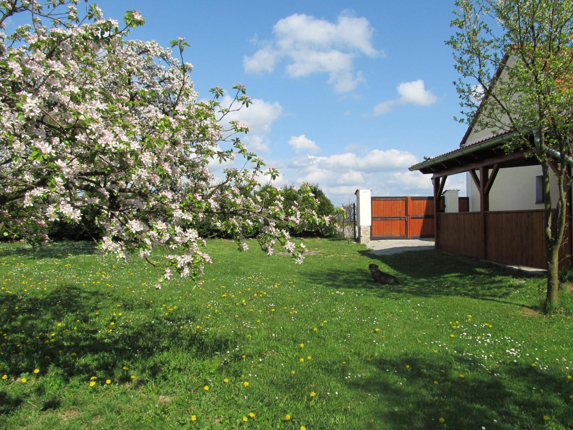 Pension Otevek Trhové Sviny Exterior foto